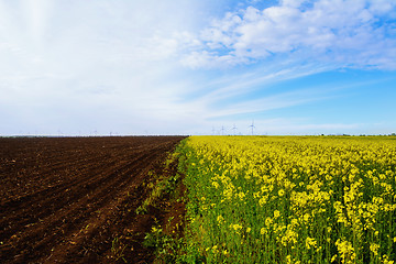 Image showing Fields