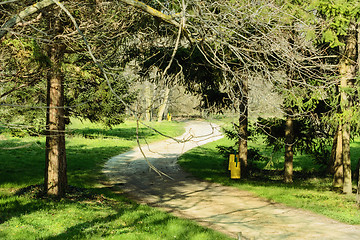 Image showing Path In The Park