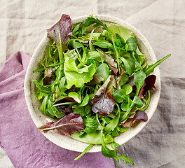 Image showing green leaf salad