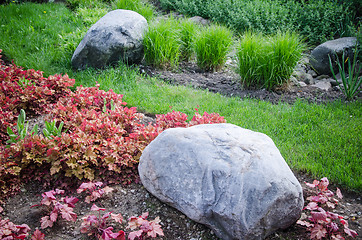 Image showing Decorative flower bed in a garden with rocks and plants, close-u