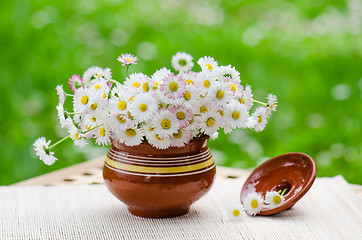 Image showing A bouquet of daisies in a pot at the table