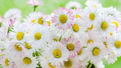 Image showing Bouquet of small delicate daisy, close-up