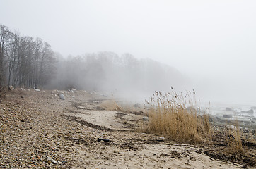 Image showing Coast of Baltic sea in a fog