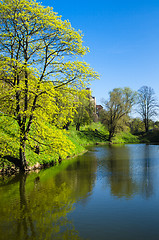 Image showing Pond Sneyli in Tallinn, a beautiful spring day