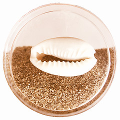 Image showing  Sea shell and sand vintage