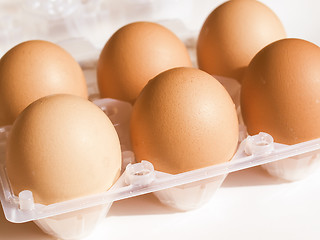 Image showing Retro looking Eggs picture