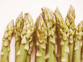 Image showing Retro looking Asparagus vegetable