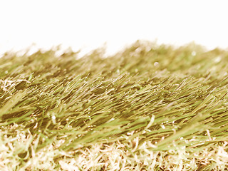 Image showing  Artificial meadow vintage
