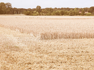 Image showing Retro looking Harvest picture