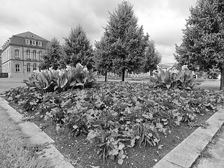 Image showing Gardens in Stuttgart Germany