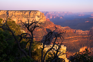 Image showing Grand Canyon