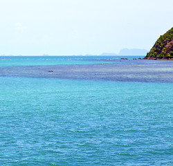Image showing   phangan  bay  coastline of a green lagoon and tree 