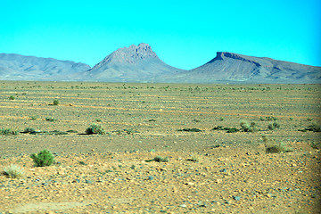 Image showing bush  in      africa the atlas dry mountain  