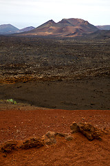 Image showing volcanic timanfaya  red rock stone  lanzarote spain plant flower