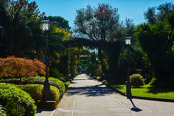 Image showing View of Green park in city