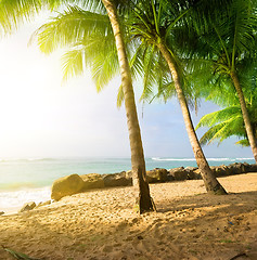 Image showing Sunrise on a beach