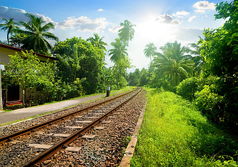 Image showing Railroad in Sri Lanka