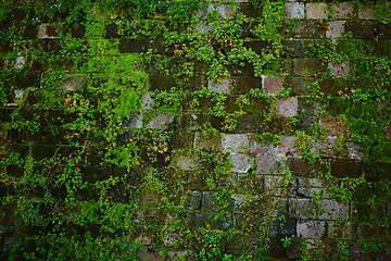 Image showing Old gray stone wall with green moss texture background