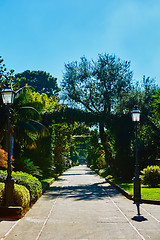 Image showing View of Green park in city