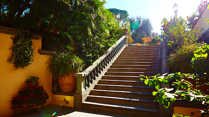 Image showing Brown concrete stair in city garden. 