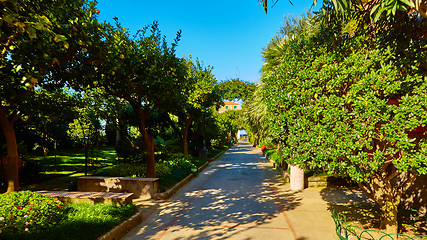 Image showing View of Green park in city