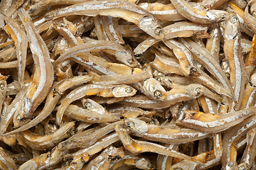 Image showing Anchovies