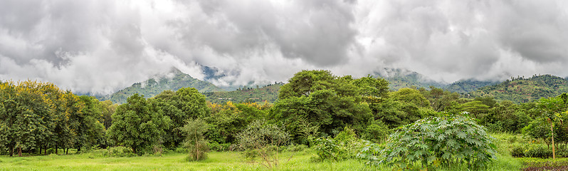 Image showing Uluguru Mountains in the Eastern Region of Tanzania