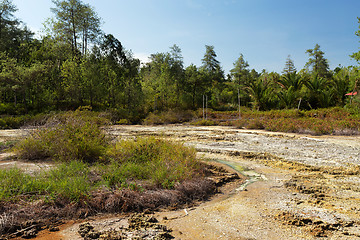 Image showing sulphurous lakes near Manado, Indonesia 