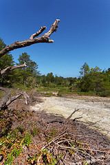 Image showing sulphurous lakes near Manado, Indonesia 