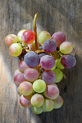 Image showing bunch of grapes 