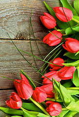 Image showing Magenta Spring Tulips