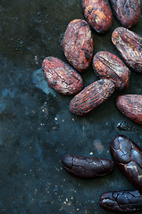 Image showing Raw Cocoa beans