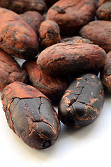 Image showing Raw cocoa beans