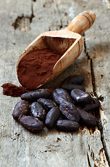 Image showing Raw Cocoa beans