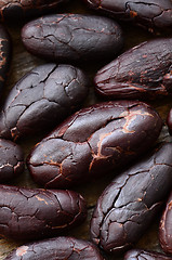 Image showing Raw Cocoa beans