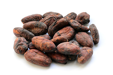 Image showing Raw cocoa beans