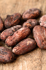 Image showing Raw Cocoa beans