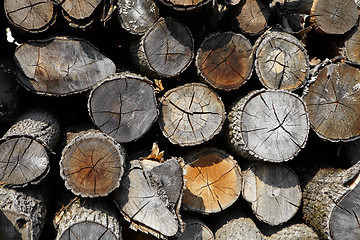 Image showing Background of firewood stacked in the woodpile