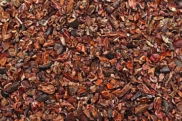 Image showing Cacao Nibs