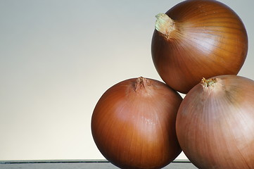 Image showing onion