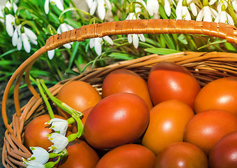 Image showing Easter eggs in a wicker basket and snowdrops.