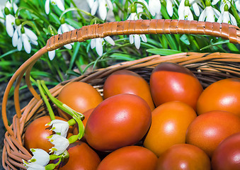 Image showing Easter eggs in a wicker basket and snowdrops.