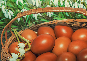 Image showing Easter eggs in a wicker basket and snowdrops.