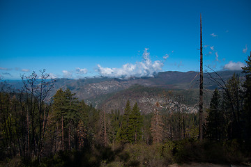 Image showing Yosemite Valley View