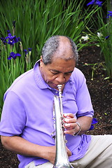 Image showing Jazz musician.