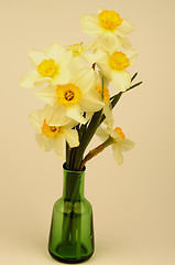 Image showing Yellow Daffodils Bunch