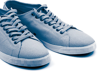 Image showing Grey Gym Shoes