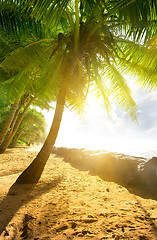 Image showing Sun over ocean