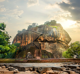 Image showing Bird over Sigiriya