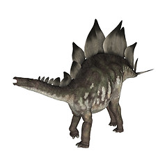 Image showing Dinosaur Stegosaurus